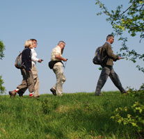 Wandelen